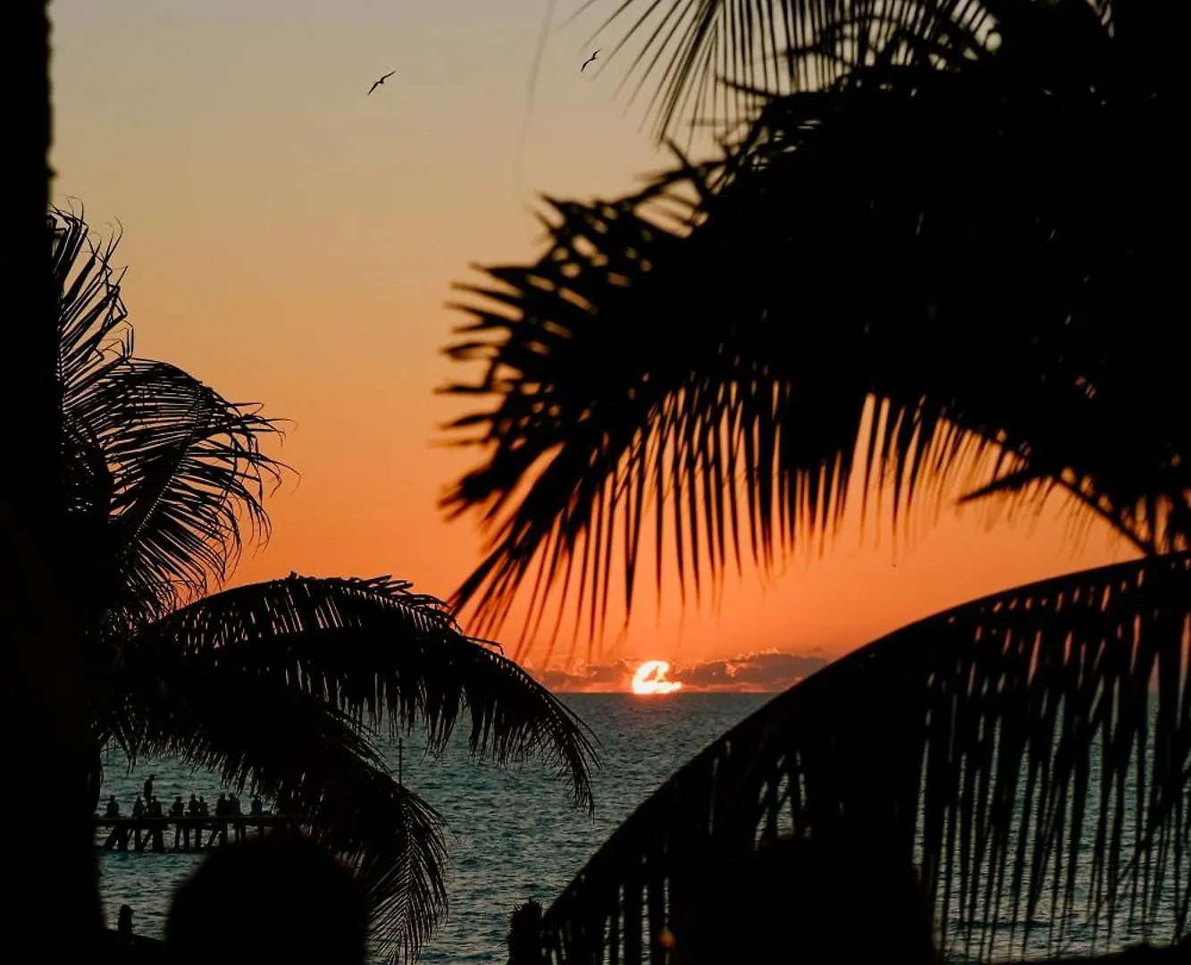 Casa Las Tortugas Petit Beach Hotel & Spa Isola Holbox 4*,  Messico