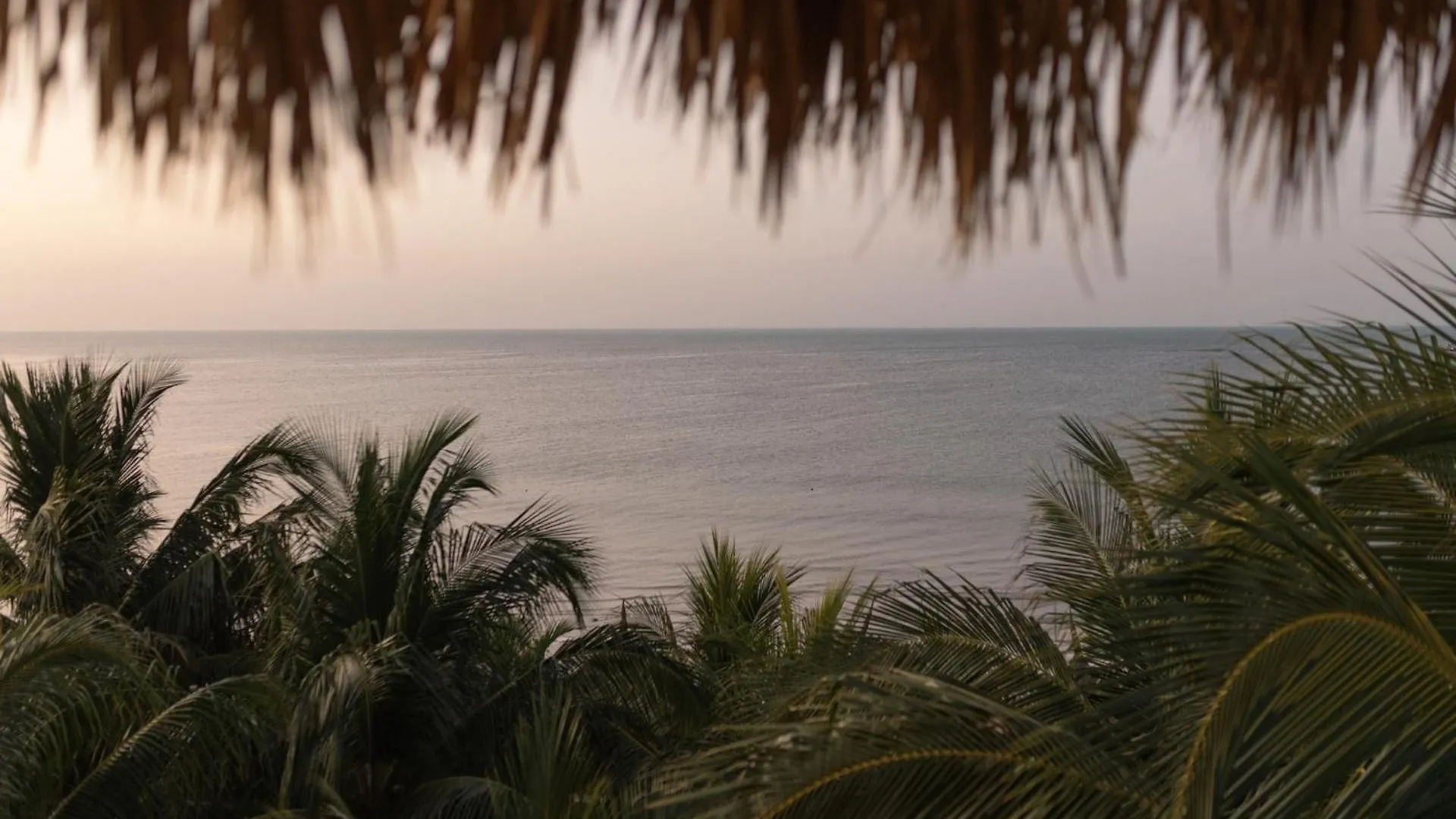 ****  Casa Las Tortugas Petit Beach Hotel & Spa Holbox Mexique